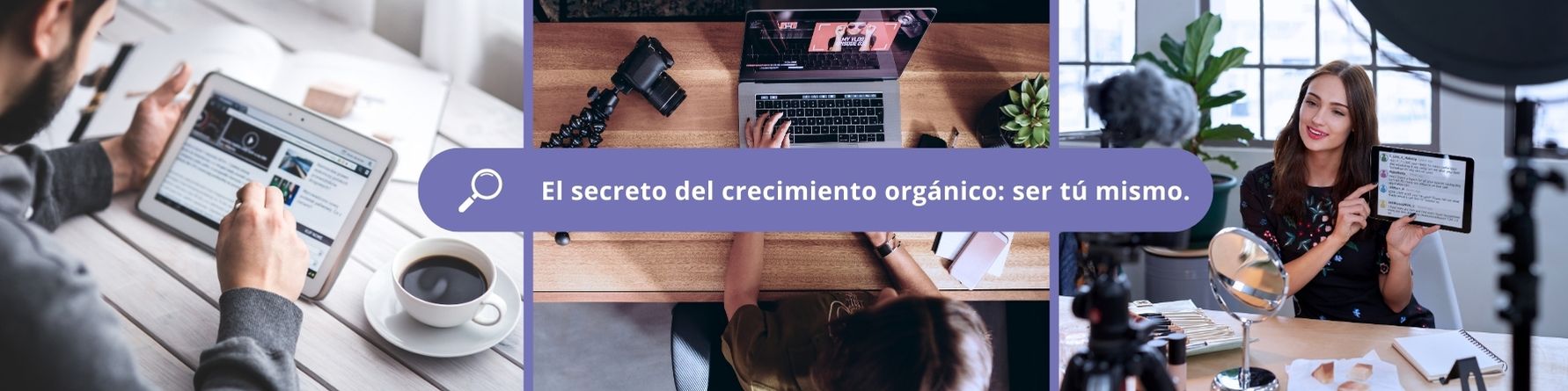 orgánica en redes sociales